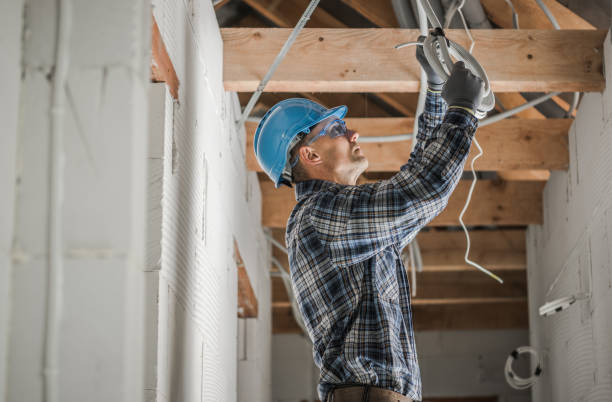 Best Electric Panel Repair  in Double Oak, TX